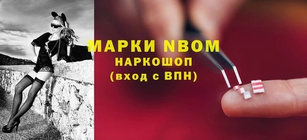 a pvp Белокуриха