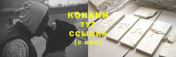 прущие грибы Армянск