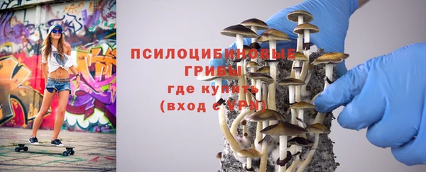 крисы Богородск