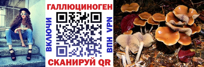 Галлюциногенные грибы MAGIC MUSHROOMS  блэк спрут зеркало  даркнет клад  Карталы 
